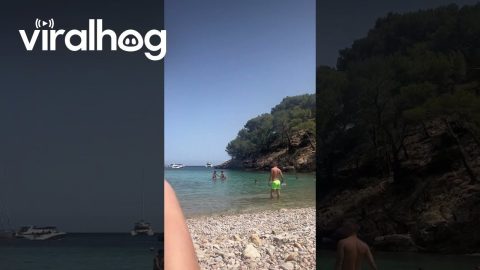 Sunbathing With a Donkey on the Beach || ViralHog