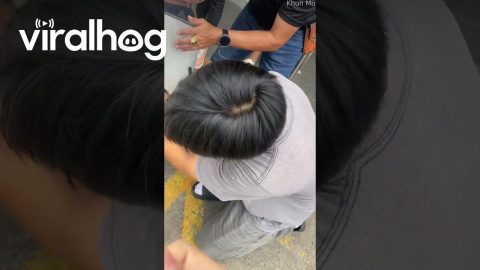 Kitten Rescued From Under Car || ViralHog