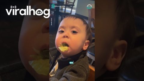 Baby Is Not A Fan Of Lettuce || ViralHog