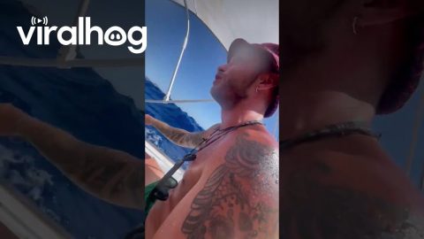 Sinking A Ship With Your Friends || ViralHog