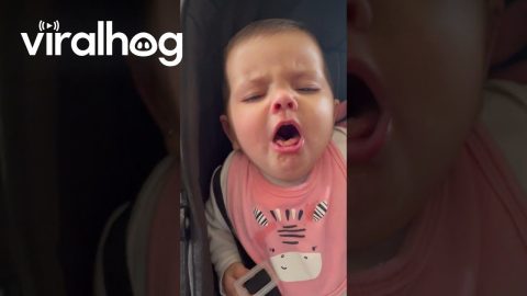 Her First Taste of Solid Food || ViralHog