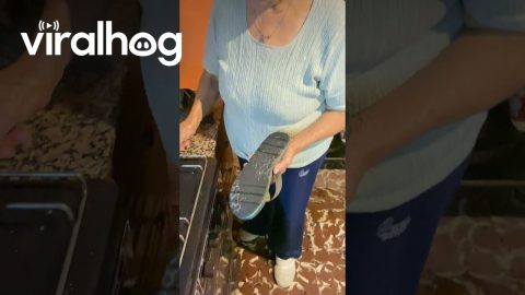 Grandma's DIY Sandal Fix || ViralHog