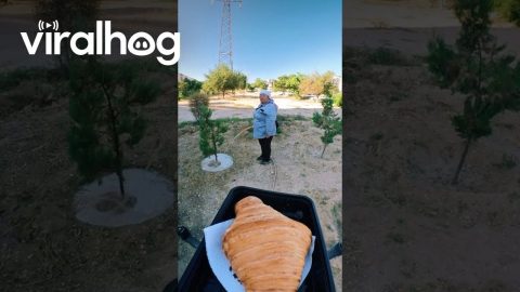 The Future of Food Delivery || ViralHog