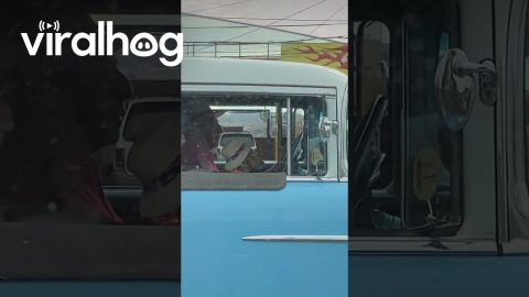 Dog Wears a Sun Hat While Riding in a Classic Car || ViralHog