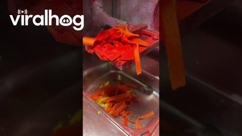 How Rubber Ducks Are Made || ViralHog