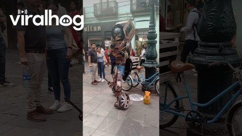 Street Performer's Transforming Costume || ViralHog