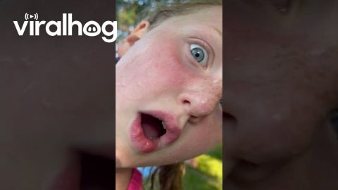 Dad's Slip-and-Slide Fail || ViralHog