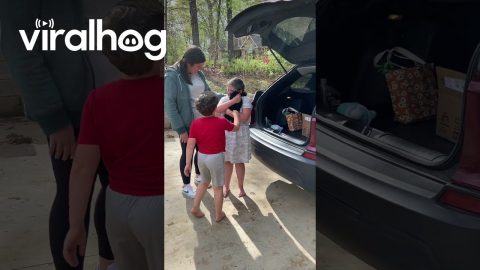 Georgia Family Surprised With Puppy || ViralHog