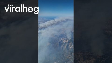 Wildfires Darken the Sky Over Athens || ViralHog