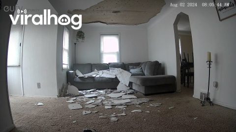 Ceiling Nearly Collapses on Guy Sitting on His Couch || ViralHog