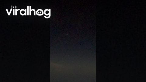 Pilot Spots Unidentified Aerial Phenomena Over Atlantic Ocean || ViralHog
