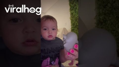 Baby Imitates Dolphin's Beak || ViralHog
