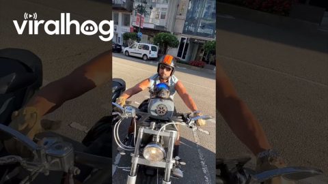 A Man's Best Copilot || ViralHog