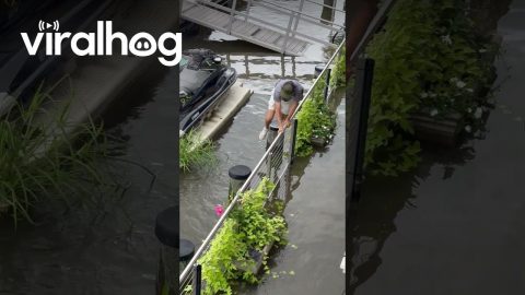 Hurricane Debby Turns Marina Into an Obstacle Course || ViralHog