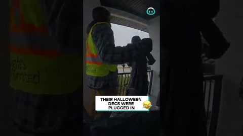 Halloween Decoration Startles Visitor || ViralHog