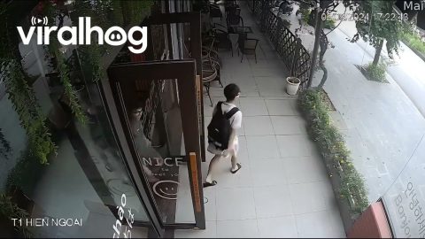 Friends Cackle At Glass Wall Fail || ViralHog