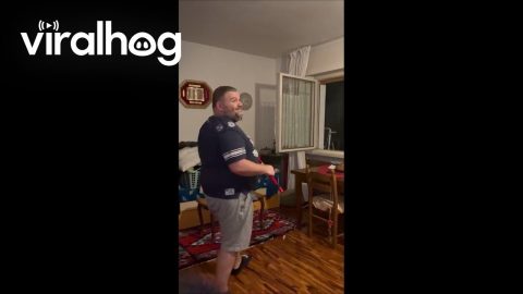 Dad And Cat Try To Catch Bat || ViralHog