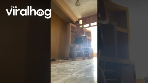 Furniture Falls Apart || ViralHog