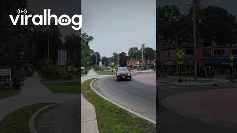 Intersection of Irony || ViralHog