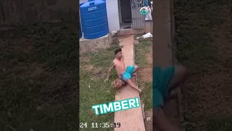 Excited Dog Gets A Little Clumsy || ViralHog