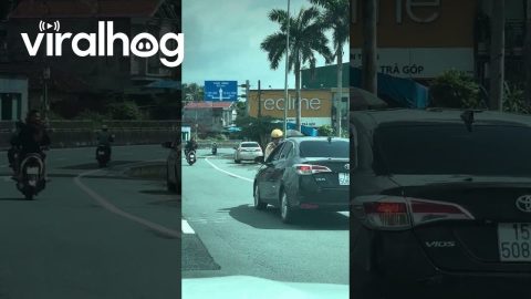 Police Officer Rides On Car Hood || ViralHog
