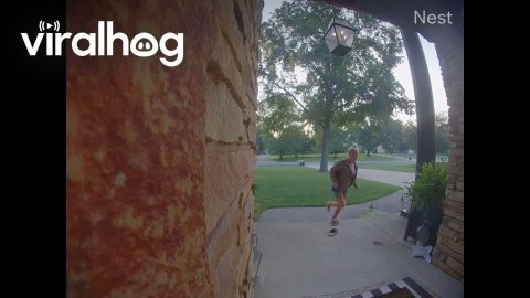 Runaway Dog Leads to Temper Tantrum || ViralHog