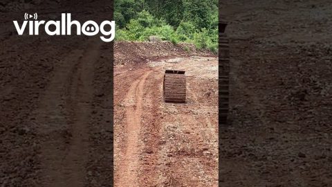 Runaway Excavator Track || ViralHog