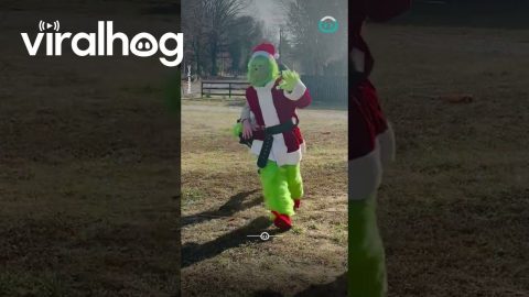 The Grinch Steals Christmas... Instantly Gets Arrested || ViralHog