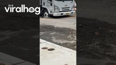Truck Drives Over Wet Concrete || ViralHog