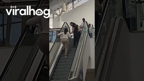 Climbing Up The Down Escalator || ViralHog