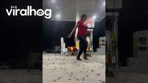 Insects Swarm Gas Station || ViralHog