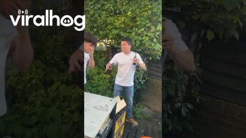 Clumsy Man Knocks Over BBQ Grill || ViralHog