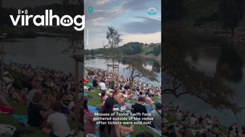 Ticketless Taylor Swift Fans Gather Outside || ViralHog