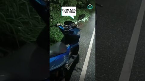Snake Slithers Over Motorbike || ViralHog