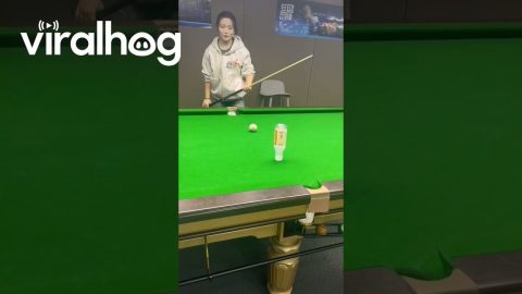 Bottle-Flipping Trick Shot || ViralHog