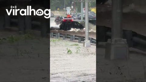 Cars Drive Through Connecticut Flooding || ViralHog