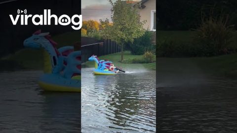 Kids Have Fun in Flooded Street || ViralHog