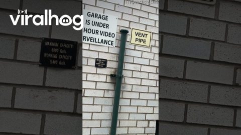The Vent Pipe Is a Good Listener || ViralHog