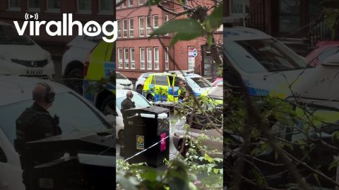 Glasgow Police Make a Peculiar Find || ViralHog
