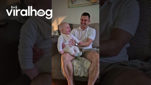 Baby Loves his Big Brother || ViralHog