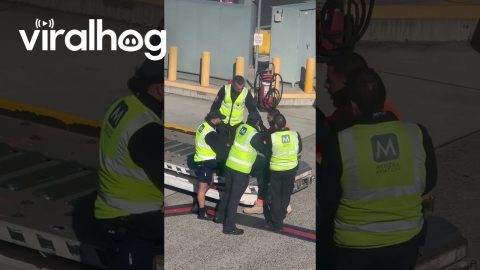 Bizarre Incident Aboard Jetstar Plane at Melbourne Airport || ViralHog