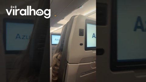 Passenger Argues With a Flight Attendant || ViralHog