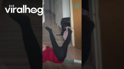 Toddler Slips On Own Trap || ViralHog