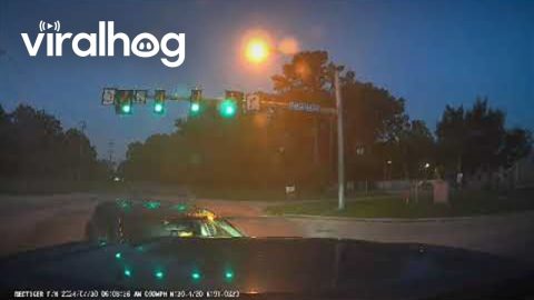 Turning Car Drives Directly Into Oncoming Truck's Headlights || ViralHog