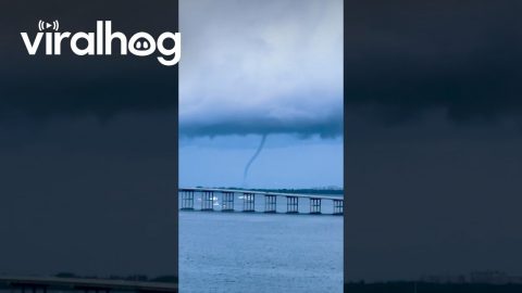 Waterspout Towers Above Key Biscayne, Florida || ViralHog