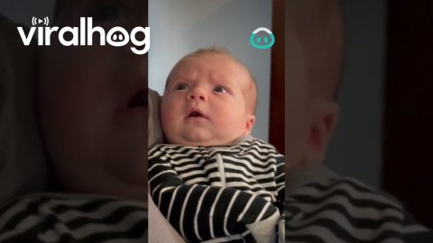 Baby First Time Seeing Beard || ViralHog
