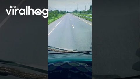 Next Generation Windshield Wipers || ViralHog