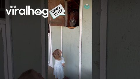Horse Opens Door To Little Girl || ViralHog