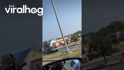 Caped Crusader Dances on Top of Car || ViralHog