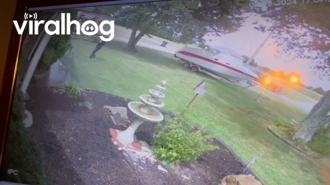 Don't Forget to Water Your Local FEDEX Driver || ViralHog